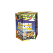 Батарея салютов Ирония Судьбы